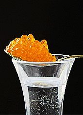 Икра Paramount Vodka Caviar: идеальная закуска
