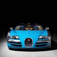 Bugatti Veyron Meo Costantini 2013