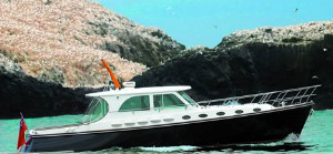 Роскошные яхты и катера: Dale Classic 45