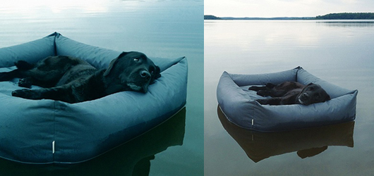 водонепроницаемые кровати для собак Sleepy