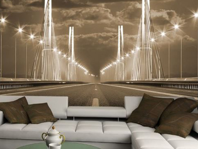 фотообои 3D в гостиной фотообои 3D в гостиной