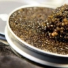 Almas Caviar: икра за 25 тысяч долларов