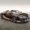 Bugatti Veyron Rembrandt Edition 2014