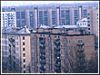 квартиры в новостройках Москвы